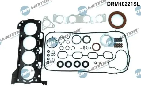 USZCZELKI - ZESTAW DR MOTOR DRM10221SL