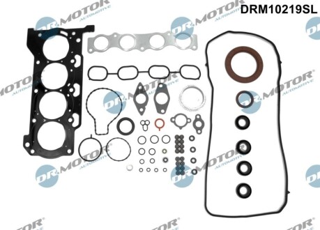 USZCZELKI - ZESTAW DR MOTOR DRM10219SL