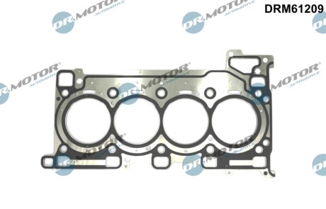 USZCZELKA GŁOWICY DR MOTOR DRM61209