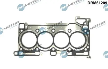 USZCZELKA GŁOWICY DR MOTOR DRM61209