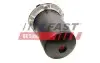 Фото 3 - фильтр топлива renault master iii 10> комплект 2.3dci FAST FT39124 ФИЛЬТР ТОПЛИВА RENAULT MASTER III 10> КОМПЛЕКТ 2.3DCI FAST FT39124 (фото 3)
