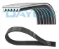 PASEK W/KLINOWY 6PK1061H