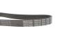 PASEK W/KLINOWY DAYCO 6PK1120S (фото 3)