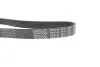 PASEK W/KLINOWY DAYCO 6PK1120S (фото 3)