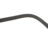 PASEK W/KLINOWY DAYCO 6PK1120S (фото 4)