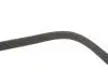 PASEK W/KLINOWY DAYCO 6PK1120S (фото 4)