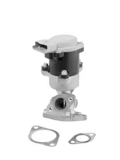 ZAWOR EGR WAHLER 712056D