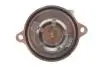 TERMOSTAT NRF 725371 (фото 4)