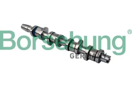 Розподільний вал Audi A4/VW Passat 1.9/2.0 TDI 03-08 BORSEHUNG B11323
