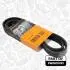 INNE- V-RIBBED BELT KIT WITH WATER PUMP SZT ET ENGINETEAM PW0010VR1 (фото 8)