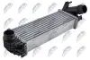 INTERCOOLER NTY CNG-RE-011 (фото 1)