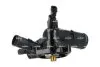 Фото 3 - termostat NRF 725417 TERMOSTAT NRF 725417 (фото 3)