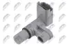 CAMSHAFT POSITION SENSOR NTY ECP-CT-024 (фото 1)