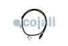 Датчик зовнішньої температури COJALI 2262009 (фото 1)