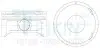 Поршни +0.25mm (к-кт на мотор) Opel Antara, Chevrolet Captiva Z24XE TEIKIN 30111025 (фото 1)