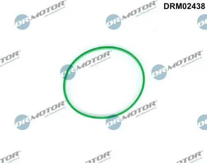 USZCZELKA PRZEPUSTNICY DR MOTOR DRM02438