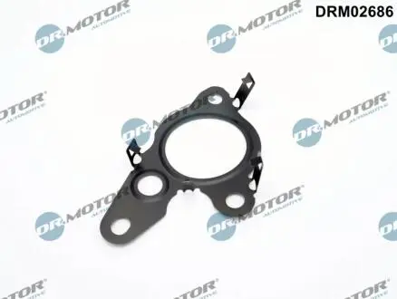 USZCZELKA ZAWORU EGR DR MOTOR DRM02686