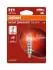 ZAROWKA H1 12V 55W NIGHT BREAKER SILVER OSRAM 64150NBS1BL (фото 1)
