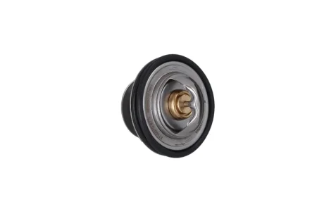 TERMOSTAT WKLAD KAMOKA 7710070