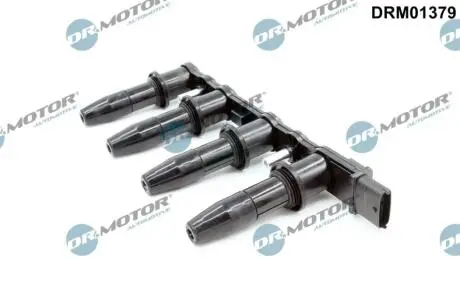 CEWKA ZAPLONOWA DR MOTOR DRM01379