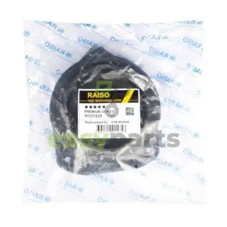 Фото опора амортизатора переднього Renault Megane III/Scenic III 08- (з підш.) RAISO RC01535 Опора амортизатора переднього Renault Megane III/Scenic III 08- (з підш.) RAISO RC01535