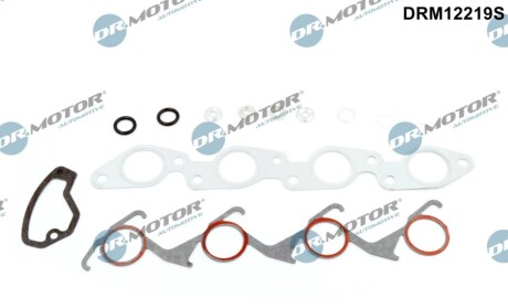 Комплект прокладок двигуна 12 елементiв DR MOTOR DRM12219S (фото 1)