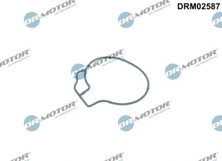 Прокладка вакуумної помпи DR MOTOR DRM02587