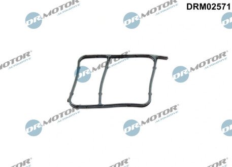 Прокладка помпи води DR MOTOR DRM02571