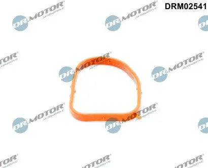 Прокладка термостата DR MOTOR DRM02541