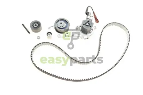 Комплект ГРМ + помпа Audi A4/A6/A7/Q5/Skoda Octavia/VW Golf VIII 2.0 TDI 18- DAYCO KTBWP12330