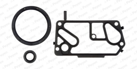 Комплект прокладок двигуна Payen EG8920