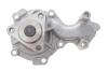 Комплект ГРМ + помпа Ford Focus III/Transit Courier 1.0-1.1 12- INA 530 0841 30 (фото 14)