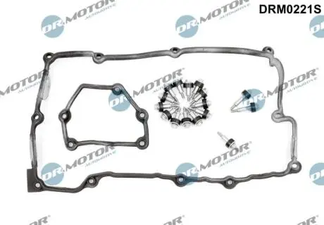USZCZELKI - ZESTAW POKRYWY ZAWORÓW + ŚRUBY POKRYWY DR MOTOR DRM0221S