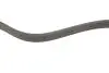 Ремінь генератора Ford Focus II/C-Max/Volvo C30/S40 II/V50 1.8/2.0 04-12 (6PK1249) BOSCH 1987946173 (фото 3)