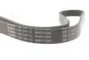 Ремінь генератора Ford Focus II/C-Max/Volvo C30/S40 II/V50 1.8/2.0 04-12 (6PK1249) BOSCH 1987946173 (фото 4)