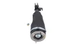 AMORTYZATOR PNEUMAT PRZOD PR KAMOKA 2070065 (фото 1)