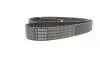 Ремінь ГРМ Audi A3/A4/A6/A7/Q2/Q3/Q5/Skoda Octavia/VW Golf VIII 2.0D/2.0DH 15- (25x149z) BOSCH 1 987 946 822 (фото 4)
