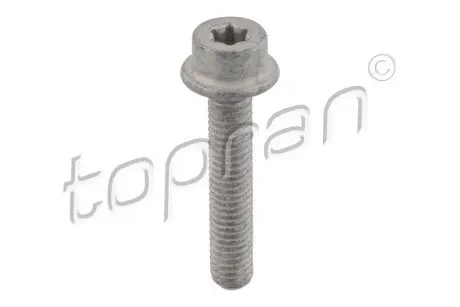 Болт металевий TOPRAN / HANS PRIES 411097