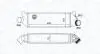 FORD Інтеркулер TRANSIT 2.0 D 04- MAGNETI MARELLI 351319204950 (фото 1)