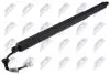 TAILGATE GAS SPRING NTY AE-BM-134 (фото 1)