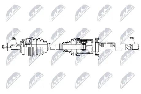 DRIVESHAFT NTY NPW-VV-171