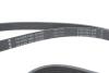 Комплект ременя генератора VW T5/T6 2.0 TDI 09- (6PK 1555) INA 529058610 (фото 10)
