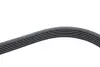 Комплект ременя генератора Mazda 3 2.0 09-14/5 1.8 05-10 (5PK716EE/6PK1310) DAYCO KPV964 (фото 6)