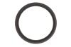 Комплект ланцюга ГРМ BMW X3 (E83)/X4 (F26)/X5 (F15/F85)/X6 (E71/E72) 07- N47/M47/N57 INA 559181821 (фото 5)