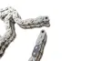 Комплект цепи ГРМ MB C-class (W203/S203)/E-class (W211/S211) 3.5 04-11, M 272.920/940/941/960/970 INA 559179920 (фото 6)