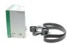 Комплект ременя генератора BMW 3 (G20/G80/G28)/5 (G30/F90) 2.0DH 19- B47 (8PK1162) INA 529056810 (фото 2)