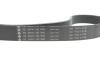Комплект ременя генератора BMW 3 (G20/G80/G28)/5 (G30/F90) 2.0DH 19- B47 (8PK1162) INA 529056810 (фото 4)