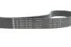 Комплект ременя генератора BMW 3 (G20/G80/G28)/5 (G30/F90) 2.0DH 19- B47 (8PK1162) INA 529056810 (фото 4)