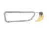 Комплект ланцюга насосу масляного VW T5 1.9 TDI 03-09, AXC/AXB/BRR/BRS INA 558015010 (фото 2)