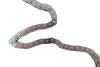 Комплект ланцюга ГРМ Citroen Jumper/Peugeot Boxer 2.2 HDi 06- (скорочений к-кт) INA 559 1813 10 (фото 6)